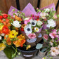 Mother's Day Bouquet
