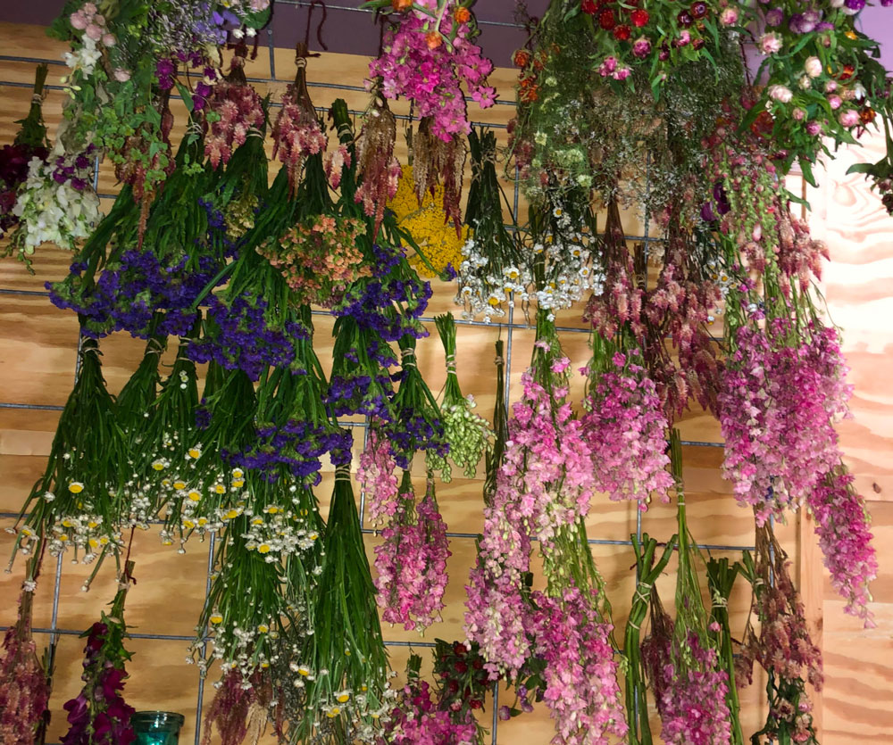 Bundles of colorful flowers, including pink, purple, yellow, and white varieties, hang upside down from a wooden wall to dry. The flowers are densely arranged, creating a vibrant and textured display.
