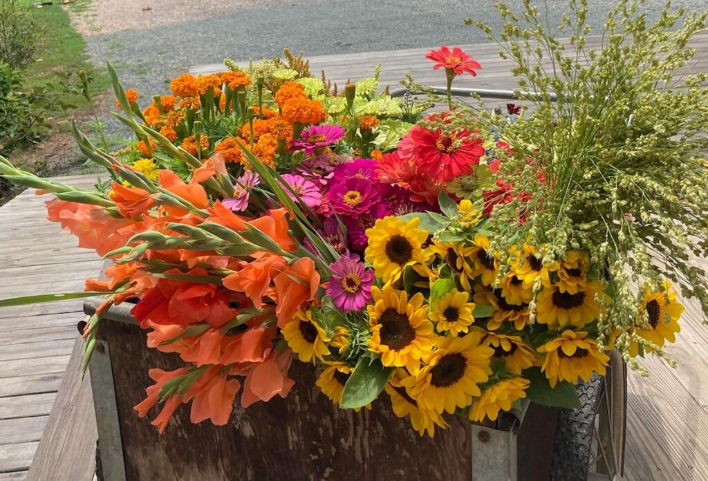 A wooden cart filled with a colorful arrangement of freshly picked flowers, including yellow sunflowers, orange gladiolus, bright zinnias, and green foliage, sits on a wooden deck outdoors.