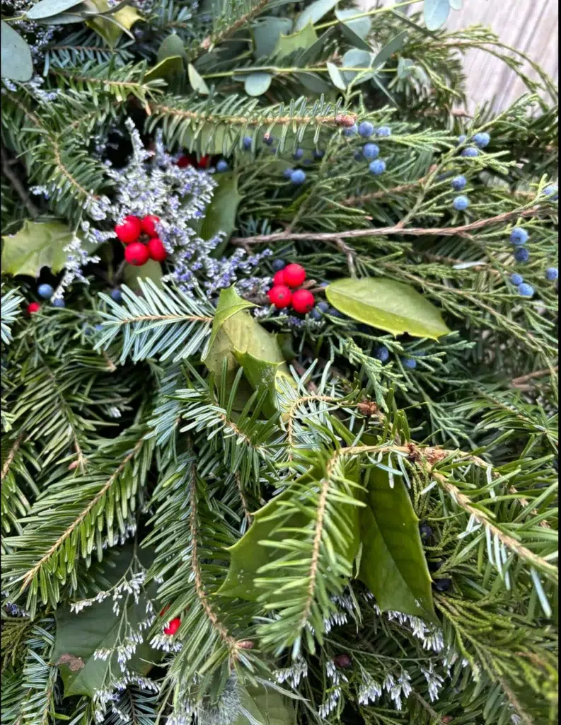 A close-up of evergreen branches with green needles, red berries, dark green holly leaves, and small clusters of blue berries, creating a festive and natural arrangement.