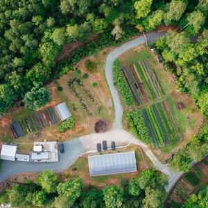 Aerial view of a small farm surrounded by dense green forest, showing buildings, a greenhouse, parked vehicles, cultivated crop rows, and dirt roads connecting different sections of the property.