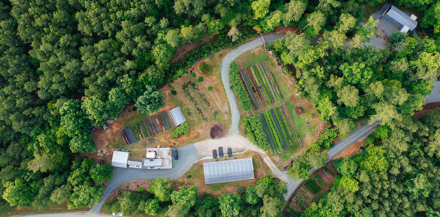 Social Care Farm Tour