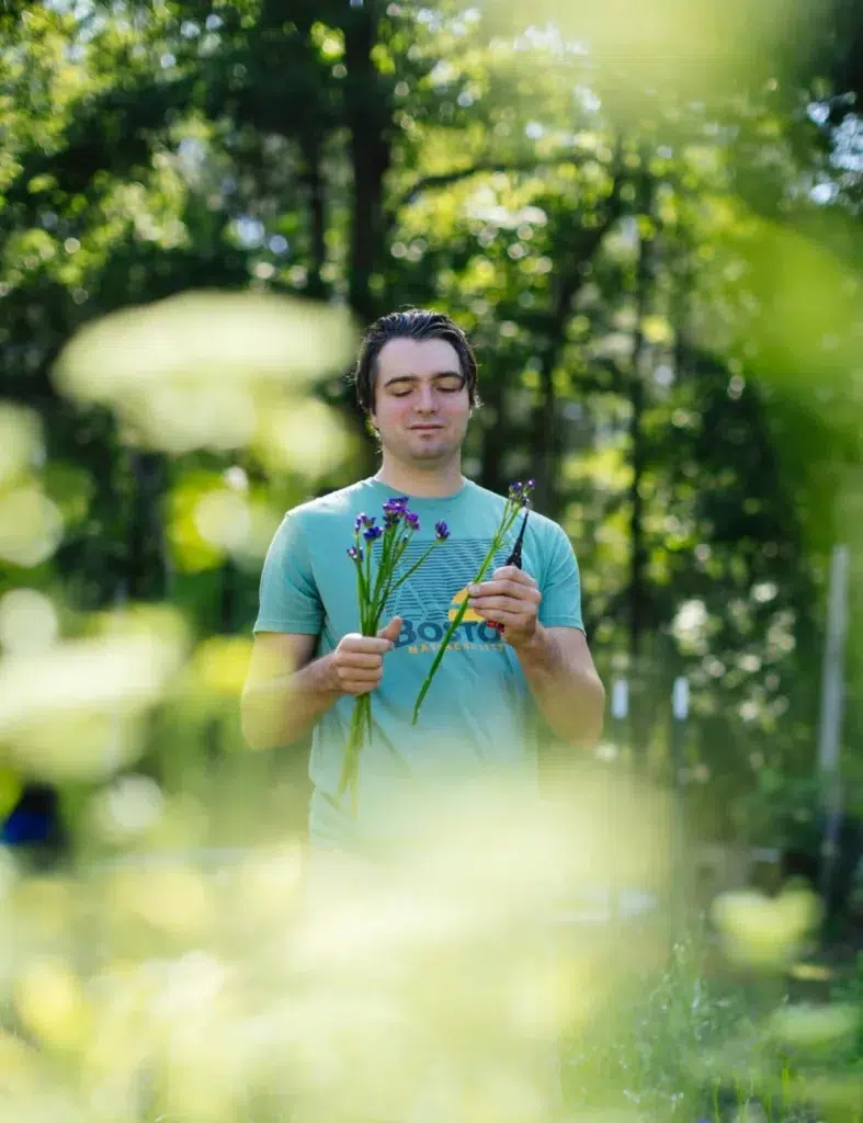 A person stands outdoors in a sunlit, green garden, holding and looking at fresh-cut purple flowers. Tall grass and plants blur the foreground, while trees and greenery fill the background.