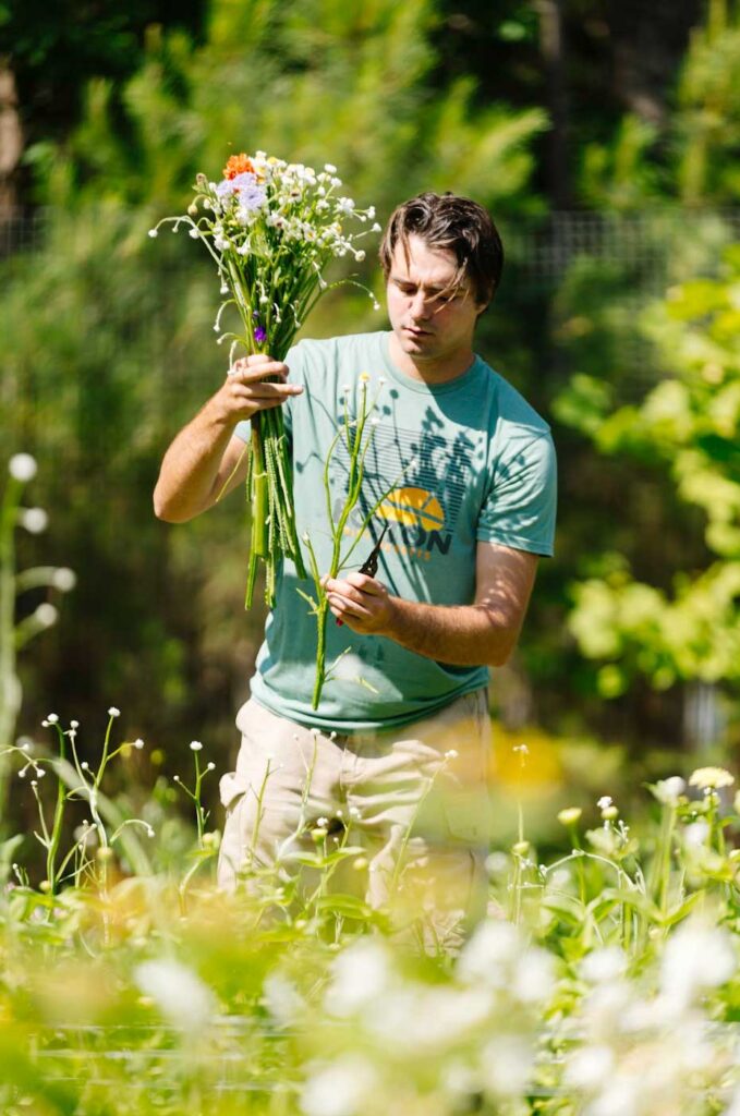 A man standing in a garden, holding a bouquet of flowers in one hand and cutting stems with the other, surrounded by green plants and blooming flowers on a sunny day.