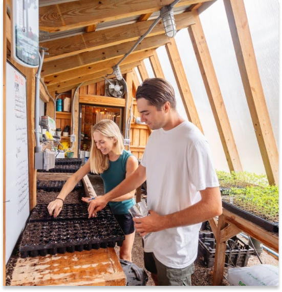 Two people stand side by side in a sunny greenhouse, planting seeds into trays of soil on a wooden table, with seedlings and gardening tools visible around them.