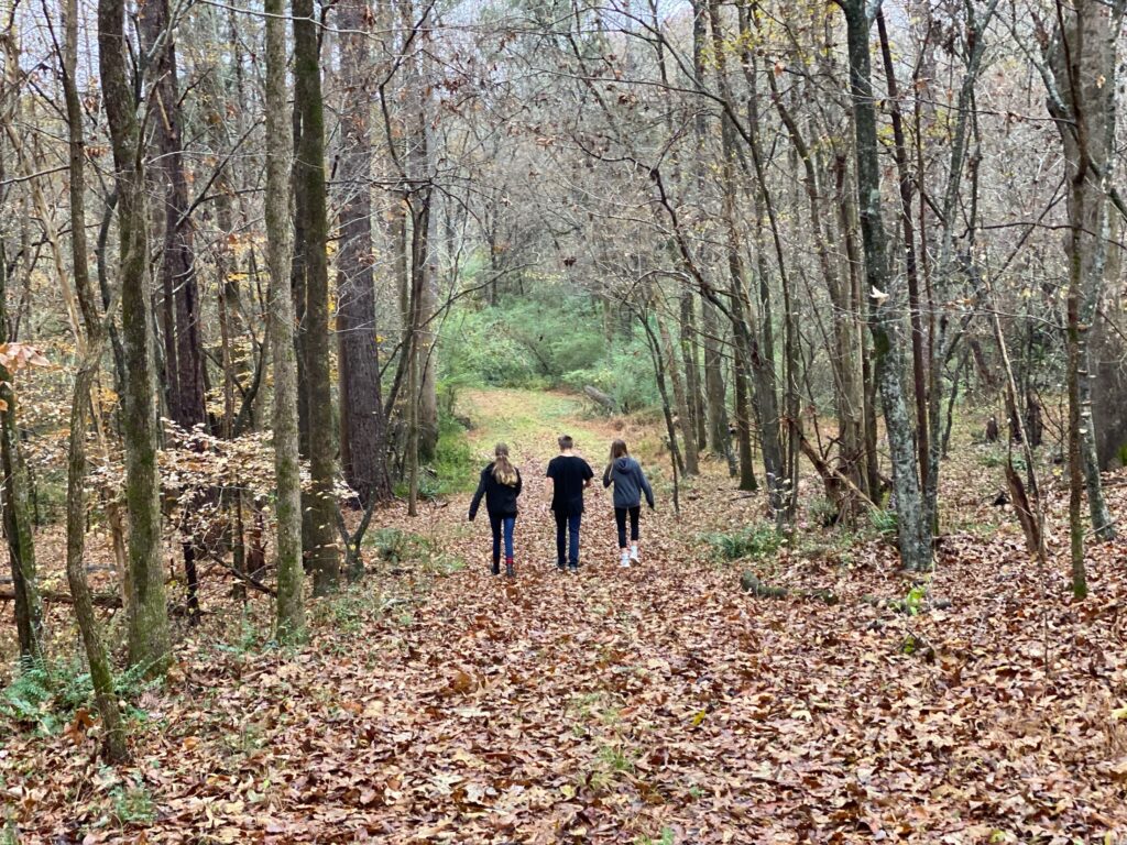 Three people walk away on a leaf-covered trail through a forest of tall, bare trees in autumn, with shades of brown and a path leading into the distance.
