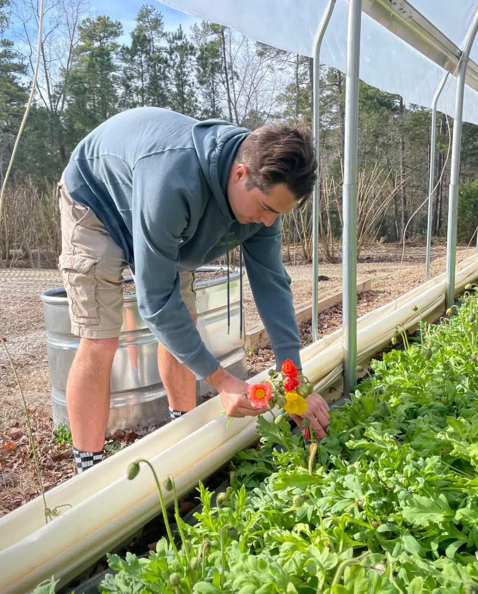 A person in a blue hoodie and khaki shorts bends over to pick or examine flowers growing in a greenhouse garden, surrounded by lush green plants and trees visible in the background.