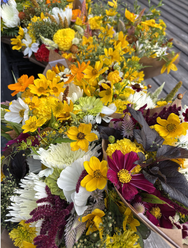 Experience the 2026 8-Week Summer Flower Subscription: vibrant bouquets featuring yellow, white, deep pink, and orange blooms with lush green foliage, delivered fresh each week.