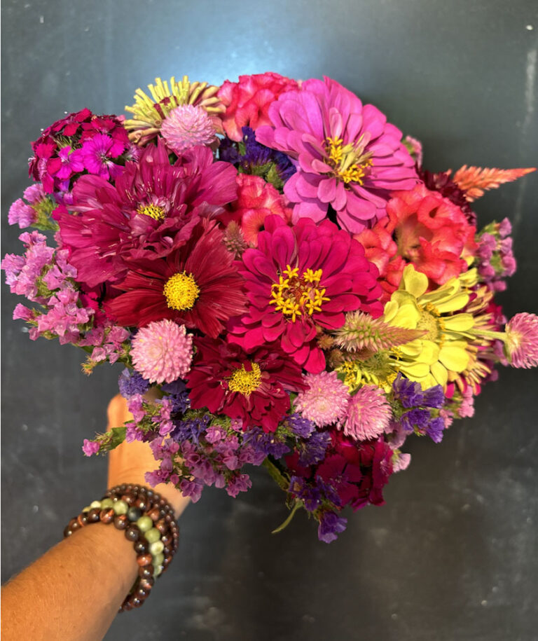 A hand wearing beaded bracelets holds a colorful bouquet of pink, red, purple, and yellow blooms—part of the 2026 8-Week Fall Flower Subscription—displayed against a dark background.