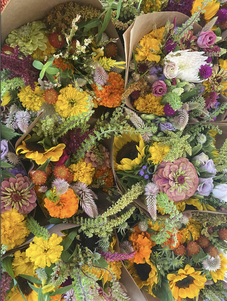 The 2026 8-Week Summer/Fall Flower Combo Subscription offers vibrant mixed bouquets with orange, yellow, purple, pink, and white blooms plus green foliage, all arranged together in brown paper wraps.