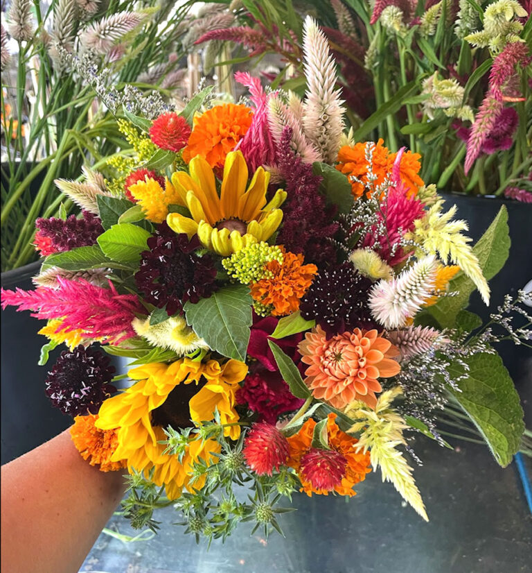 Enjoy the 2026 4-Week Fall Flower Subscription: hand-tied bouquets in yellow, orange, red, purple, and white blooms with lush green leaves. Each week brings fresh autumn flowers to brighten your space.
