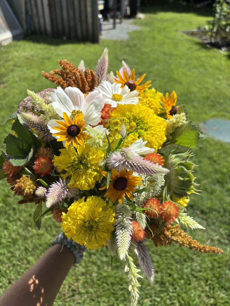 A hand holds the Market Bouquet—a vibrant mix of yellow marigolds, white daisies, sunflowers, and orange and pink accent flowers—set against a sunny background of green grass and a fence.