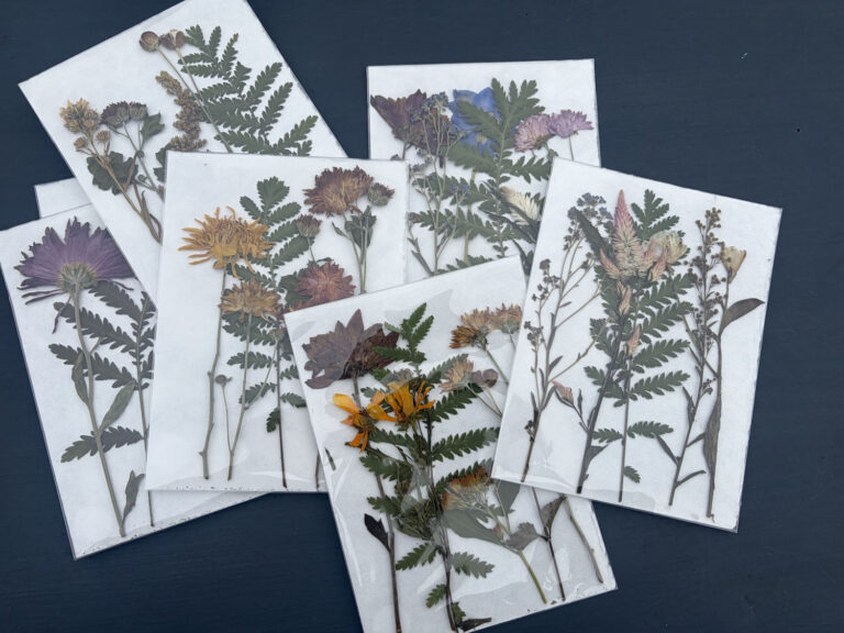 The Pressed Flower Pack includes six sheets featuring assorted pressed flowers in yellow, purple, and brown hues with green foliage, beautifully arranged on a dark background to highlight diverse shapes and sizes.