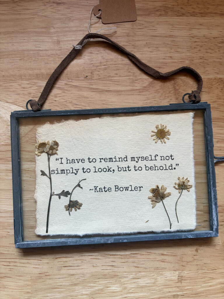 The Pressed Flowers and Poetry Frames feature Kate Bowler’s quote, “I have to remind myself not simply to look, but to behold,” set in hanging glass with pressed flowers, displayed on a wooden surface.