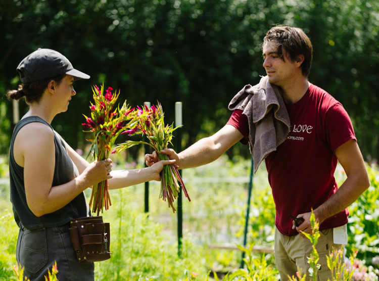 Two people stand in a sunny garden, handing bunches of colorful flowers to each other. The woman on the left wears a gray cap and tool belt, and the man on the right wears a red shirt with a towel over his shoulder.